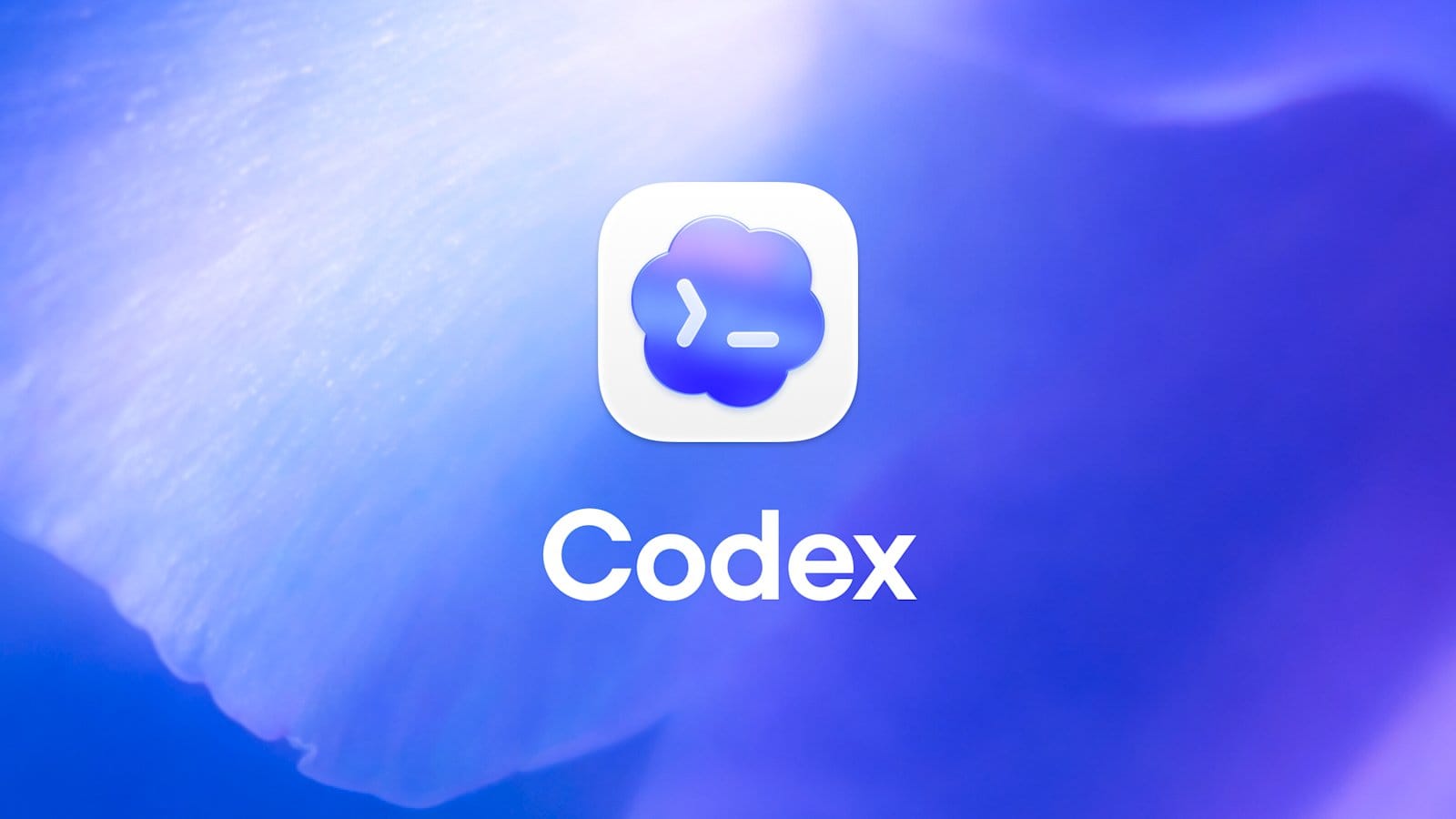 app codex de openai