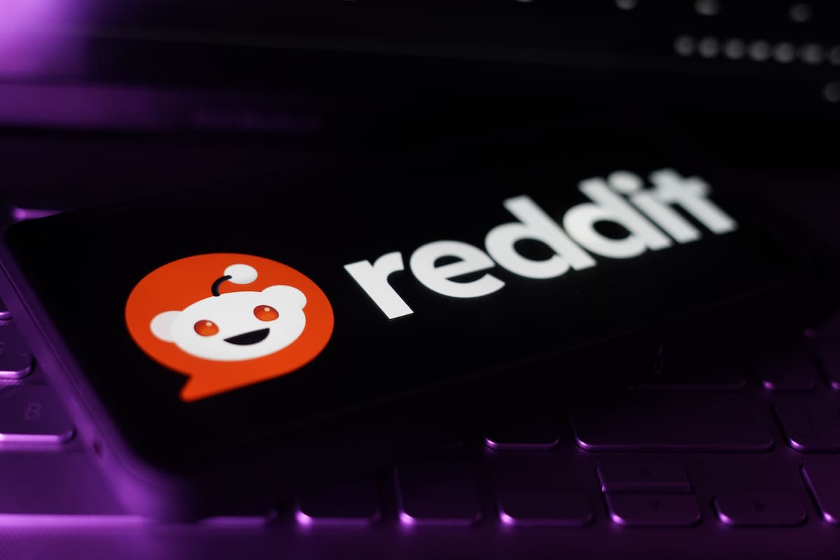 reddit combate spam ia